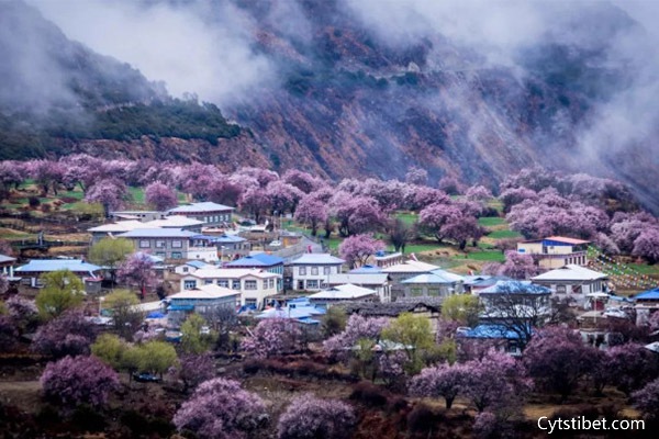 嘎啦桃花村