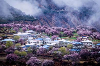 嘎拉桃花村
