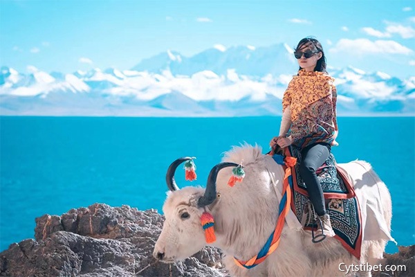 自己去拉薩旅游要多少錢