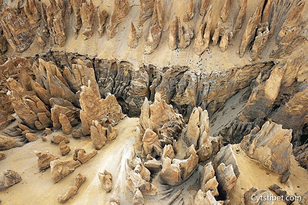 西藏十日游跟團大約多少錢