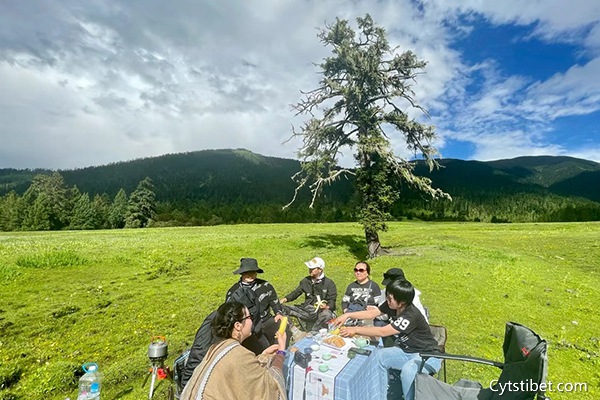 4個人從寧夏石嘴山去西藏旅游預計多少錢