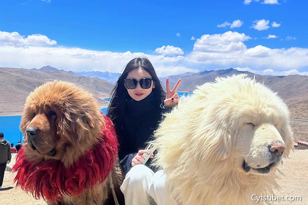 報團去西藏旅游多少錢一個人