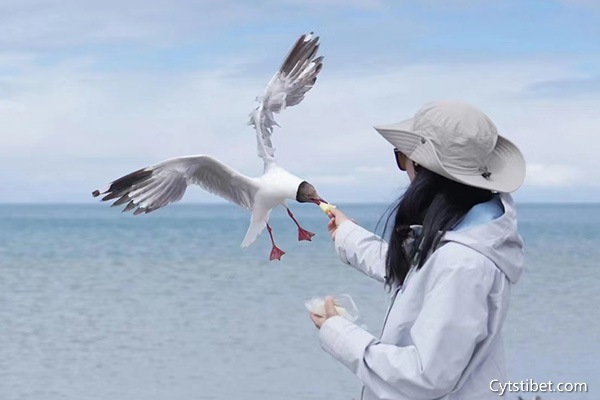 旅游一趟西藏的花費(fèi)