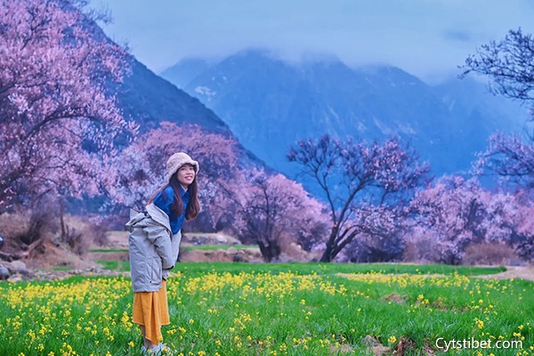 從福建去西藏旅游要花多少錢