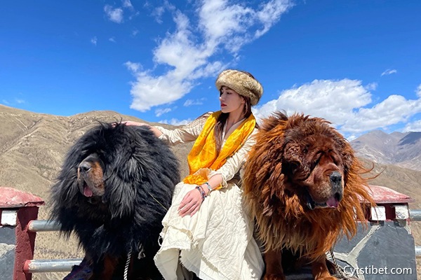 西藏旅游大概花幾天