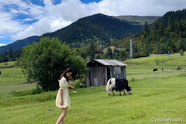 杭州到西藏旅游