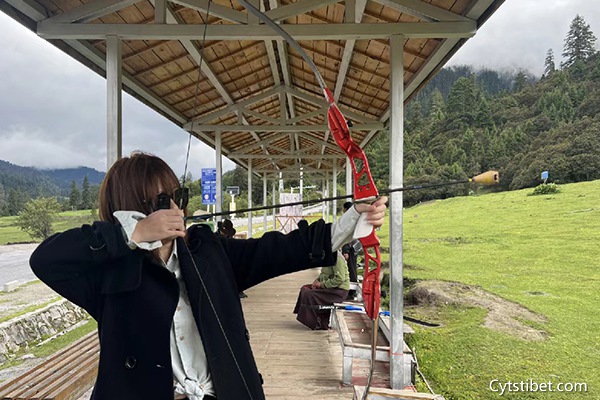 武漢報團去西藏多少錢