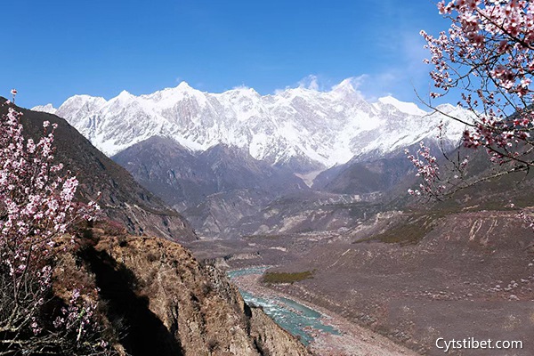 宜賓到西藏旅游7天多少錢