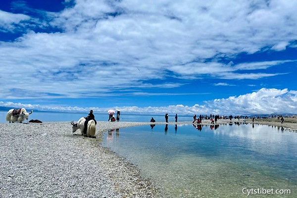 西藏旅行一周多少錢