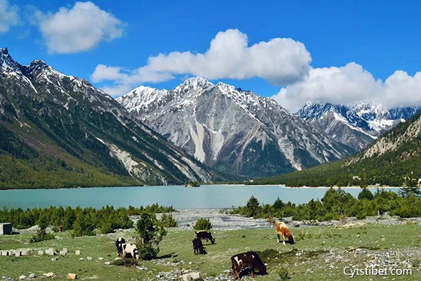 南陽去西藏7天旅游要多少錢